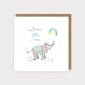 Elephant Baby Boy