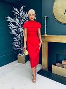 Shanna Detailed Occasion Dress Red image