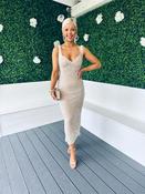 Pippa Occasion Midi Dress Sequin Stone image