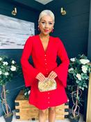 Shannon Detailed Mini Dress Red