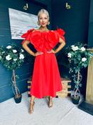 Jackie Floral Detail Occasion Midi Dress Coral image