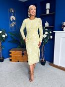 Elodie Floral Embroidered Mesh Bodycon Midi Dress Yellow image