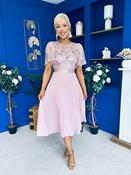 Pamela Sequin Bust Occasion Midi Dress Blush image