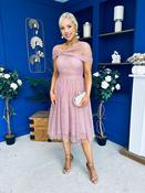 Jean Detailed Tulle Occasion Dress Blush image