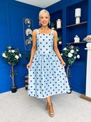 Casia Detailed Midi Dress Polka Blue image
