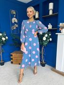 Lucy Detailed Midi Dress Pink Polka Blue image