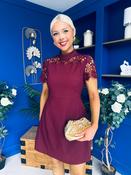 Dolcie Lace Detail Mini Dress Wine image