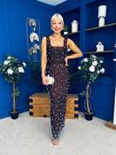 Georgia Pearl Embellished Occasion Dress Coco image
