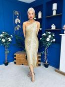 Aisling Tassel Detail Occasion Dress Gold image