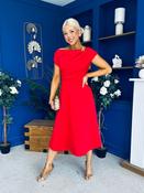 Reagan Gold Brooch Detail Midi Dress Red image