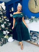 Imogen Gold Brooch Velvet Midi Dress Forest image
