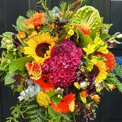 Autumnal Hues image