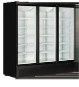Tefcold Display Freezer