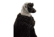 Show Tech Snood Luxe image