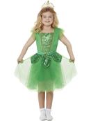 Fairy Glitter Costumes