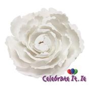 Sugarcraft Peony - White