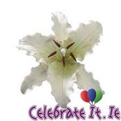 Sugar Rose Decoration - Stargazer Lily