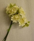 Large Tea Rose - Ivory