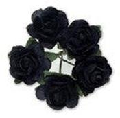 Miniature Tea Rose - Black