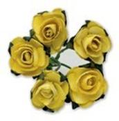 Miniature Tea Rose - Yellow