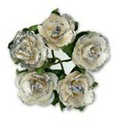 Miniature Tea Rose - Silver-White