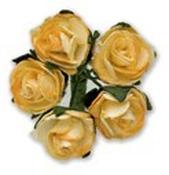 Miniature Tea Rose - Ivory-Yellow