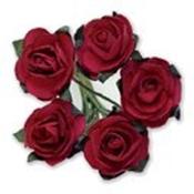 Miniature Tea Rose - Fuchsia