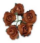 Miniature Tea Rose - Terracotta