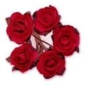 Miniature Tea Rose - Red