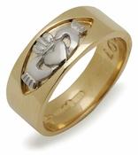 10Kt White Gold Insert Claddagh
