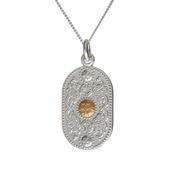Arda Silver (20MM) Pendant &amp;amp; 14CT Boss 18"Curb