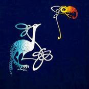 Ladies T - Belle Birds