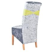 Lime Green Chair Band
