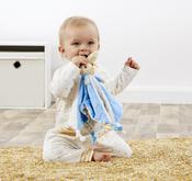 Peter Rabbit  Baby's Comforter Blanket PO1229 Blue image