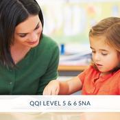 QQI Level 5 &amp; 6 SNA Course Online