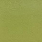 Casco Olive