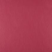 Casco Wild Cherry