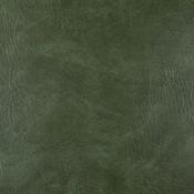 Traditional Eucalyptus