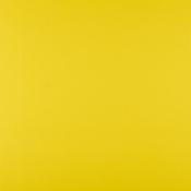 Lemon image