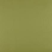 Wasabi image