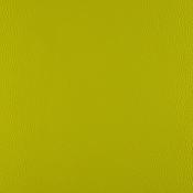 Hulk Green
