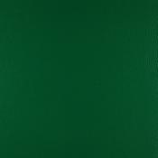 Winter Green