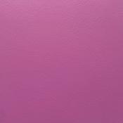 Fuchsia image