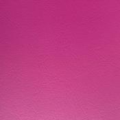 Fuchsia image