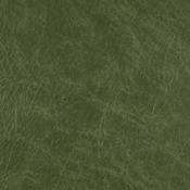 Executive-Cyprus Fern