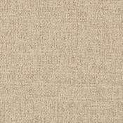 Calico image