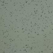 Speckle Lichen