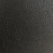 Lionide Jet Black