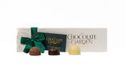 Handmade Luxury Chocolate Selection 6 choc