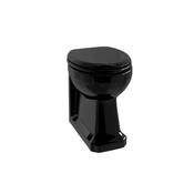 Burlington Jet Black Back To Wall Toilet Pan image